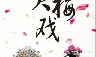 黄梅戏起源于哪个省